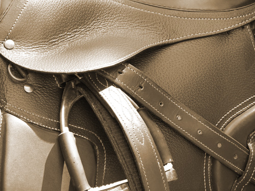 Selle Cheval Occasion