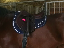 Selle TATTINI 17,5