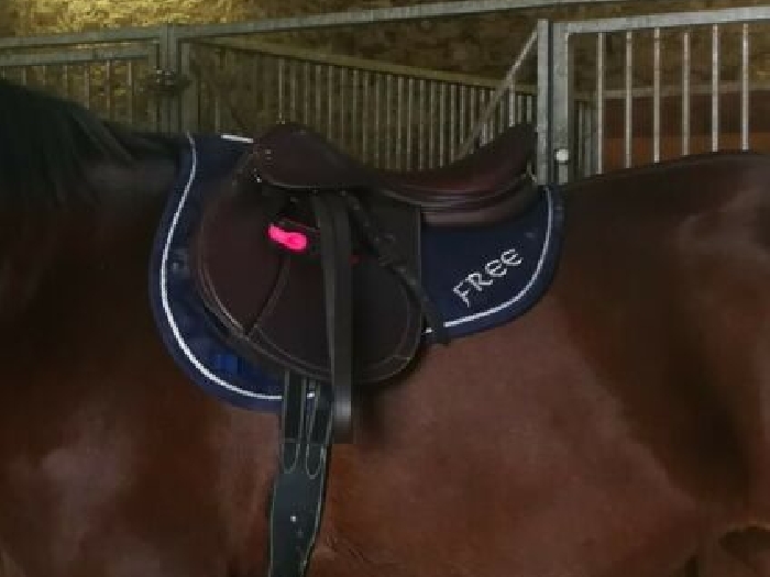 Selle TATTINI 17,5