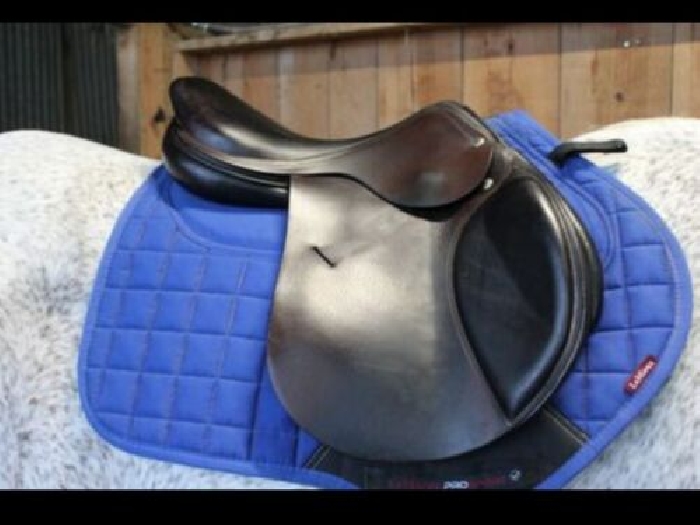 Selle Equipe modèle Expression Gamme Théorème